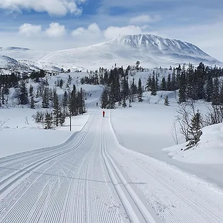 Semesterbostad Ornenipa By Gaustatoppen With Panoramic View